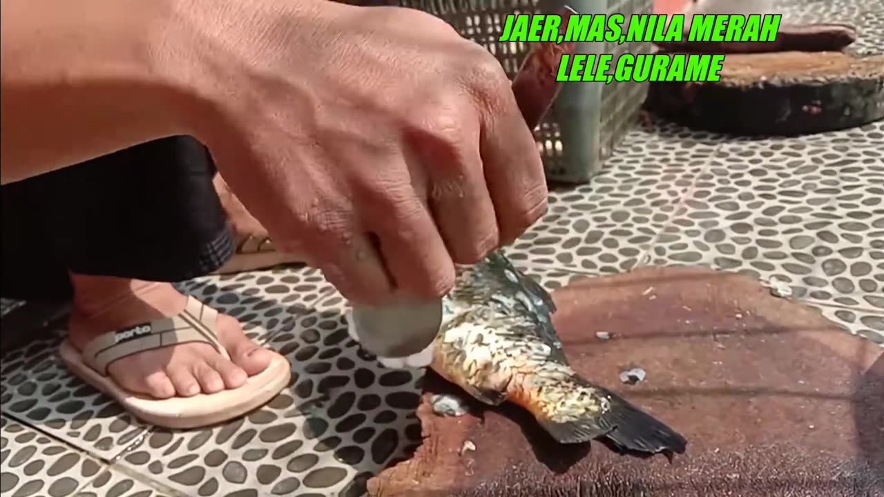 Cleaning Fish For Eat