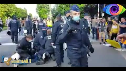 SCHREEUWVREET BIETSWIELDER BIJDEHAND GEDRAG MONDT UIT IN DIERENMISHANDELING