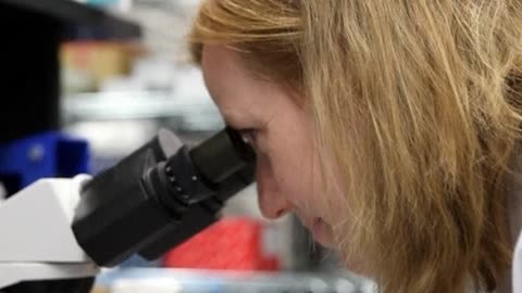 Blood Protein Rejuvenates Brain And Muscles Of Old Mice