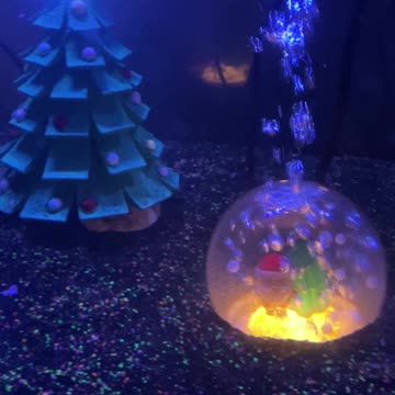 Its fishmas time!