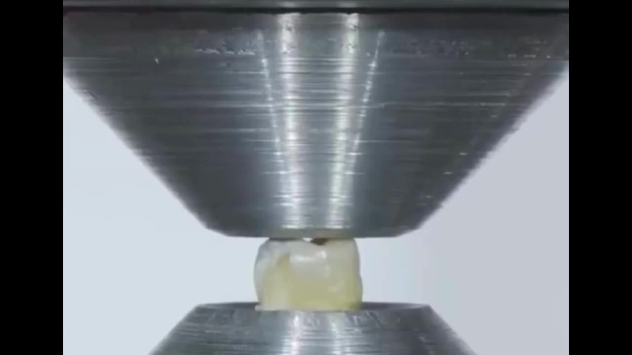 Hydraulic Press vs. Tooth