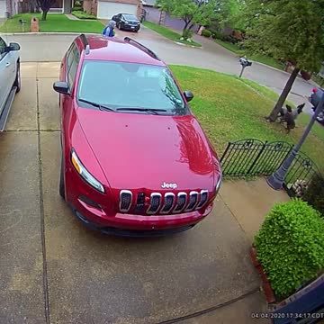 The twins tree a squirrel