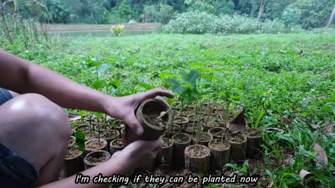 Make a pumpkin rig on the pond on a rainy heavy day, Revealing Duong private life. Primitive Skills