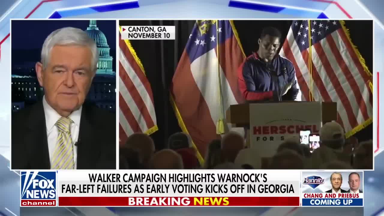 Newt Gingrich: Herschel Walker has an 'emotional pull' for many Georgians