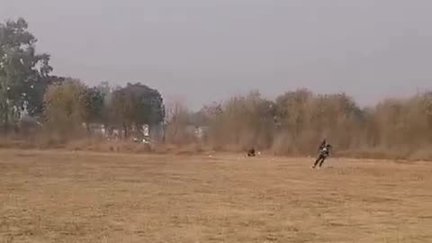 Hmc warrior's cricket ground hardball play cricket match