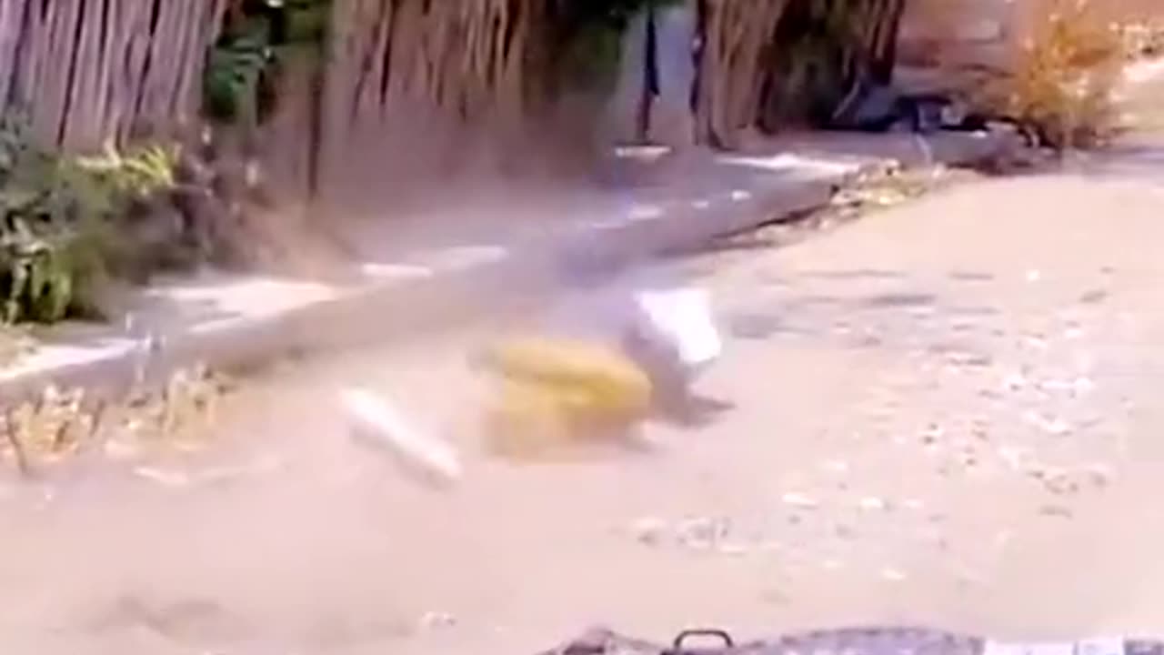 funny video