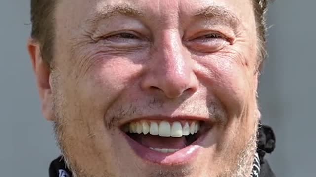 Elon Musk va finalementracheter Twitter...