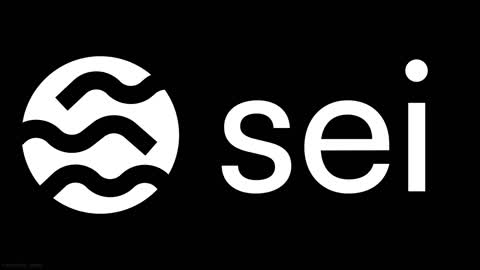 SEI NETWORK 2 ACTIVITY TO MAKE MONEY NOW
