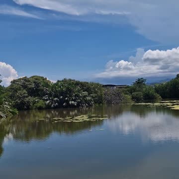 ZSCMST Bird Sanctuary, Zamboanga City, one of the best bird-watching sites in the Philippines.