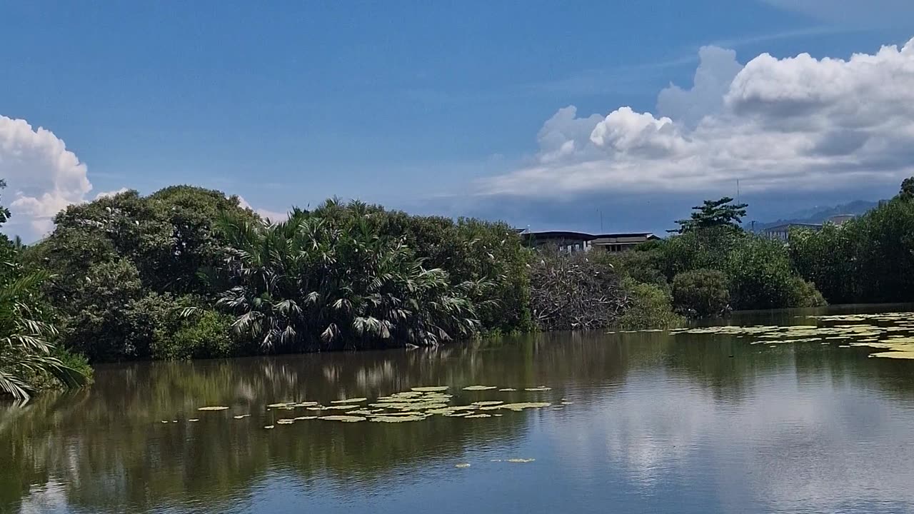 ZSCMST Bird Sanctuary, Zamboanga City, one of the best bird-watching sites in the Philippines.