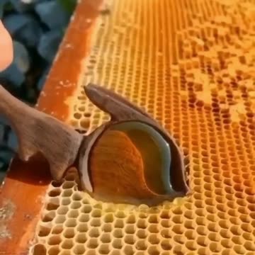 Mmmm Honey🍯