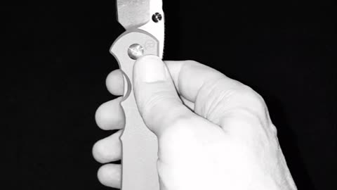 Sebenza 25