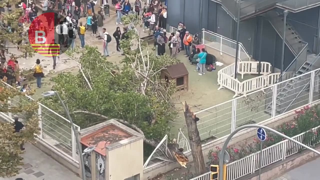 La caída de un árbol en la Escuela 30 Passos deja varios heridos