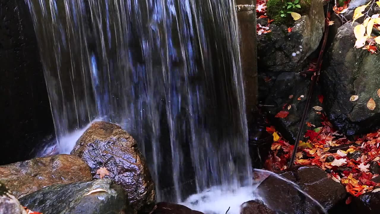 Beautiful Natural Scenery and Beautiful Fountains 🥀💕🌹