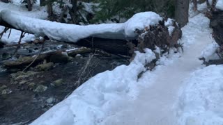 Hiking Parallel to a Raging Wild River – Tamanawas Falls – Mount Hood – Oregon – 4K