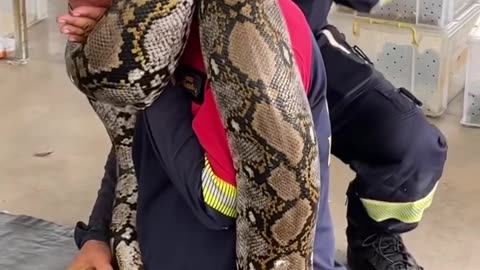 Power of Anaconda