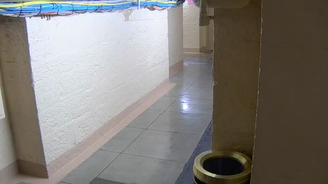 0013USCSBASB10Hallway_2021-01-05_19h00min03s163ms.mp4