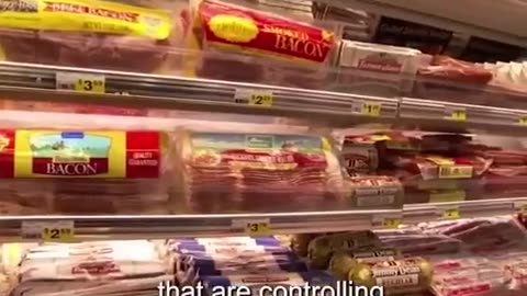 Real food is very hard to get