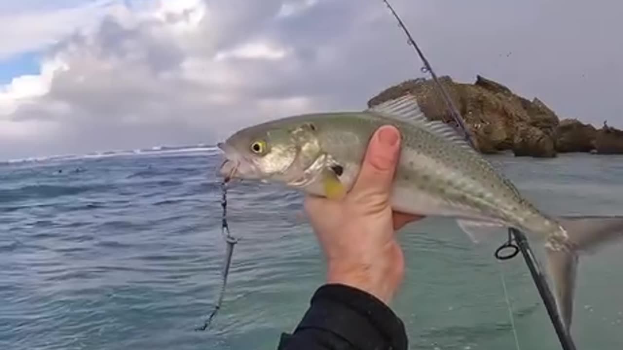 Catching Fish with a Screw