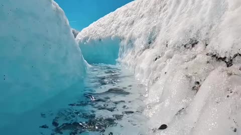 Glacier rivers in alaska hit the different i bet this water tastes like heaven 💧🌊😍 #shorts #viral