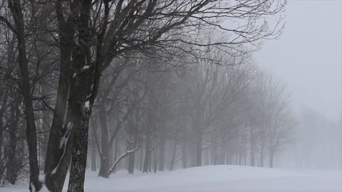 1 Hour Snow Scape Relaxation Mediation Deep sleep Focus Study