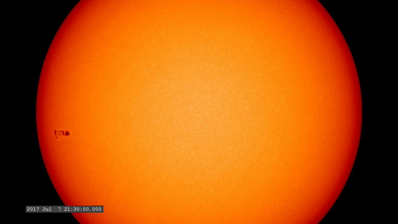 Two Weeks in the Life of a Sunspot