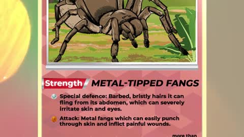 Ever wondered who’d win in a fight between a scorpion and tarantula_ A venom scientist explains