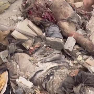 I HAVE NO WORDS LEFT 💔