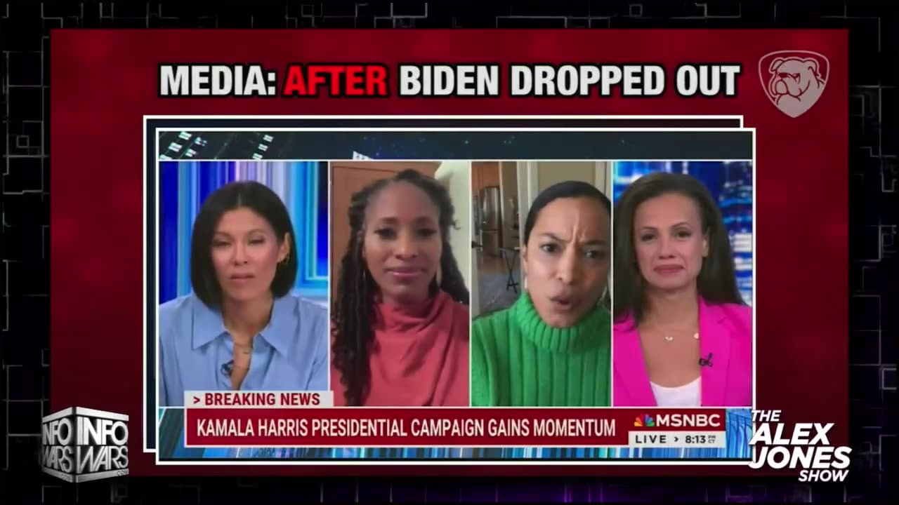 MSM Gaslighting | Ultimate Compilation Of Media Hailing Kamala Harris As Border Czar