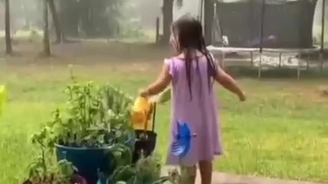 WATERING IN THE RAIN