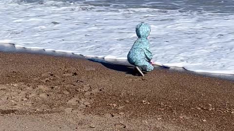 Little Boy Gets Caught up in Waves on Beach