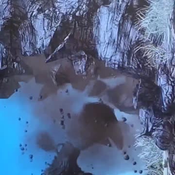 Videogame MAX 🎮🎮 🕹️ 🎮🎮