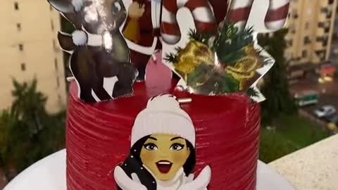 Christmas cake /Santa cake