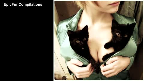 SEXY Funny Compilation of Cats and Boobs