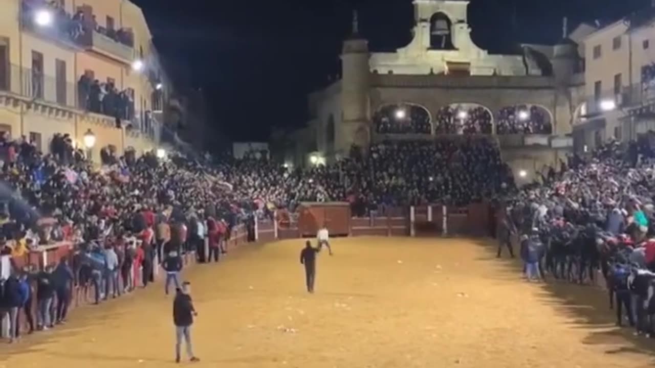 ♥️SENSACIONAL RECORTE‼️ A PORTA GAYOLA -- EN UNA PLAZA MUY ESPECIAL. Ciudad Rodrigo (Salamanca)