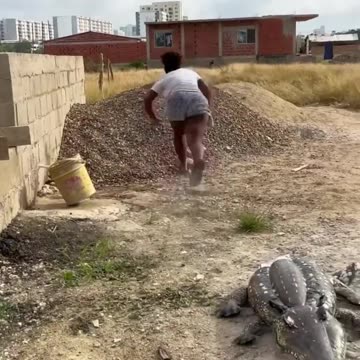 lagarto en colombia #colombia #comedia #humor #bromas #risas #parati #cartagena #futbol #bromas