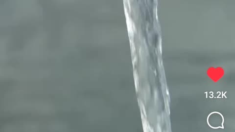 Clear Clean & Fresh