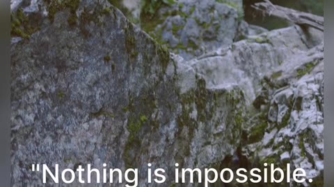 Nothing is Impossible