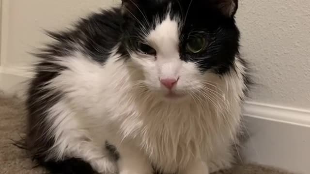 It only sees the owner 3