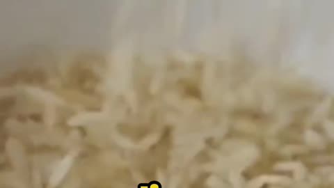Rice The Grain of Versatility