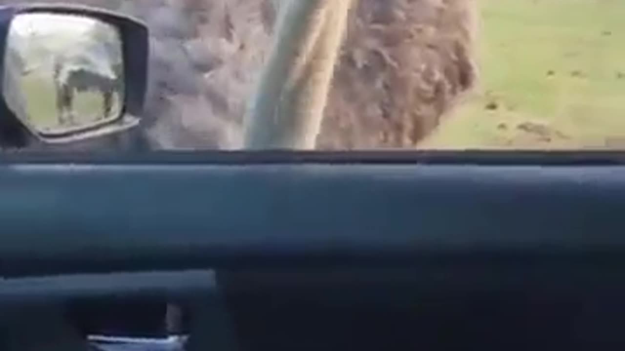 Funny
