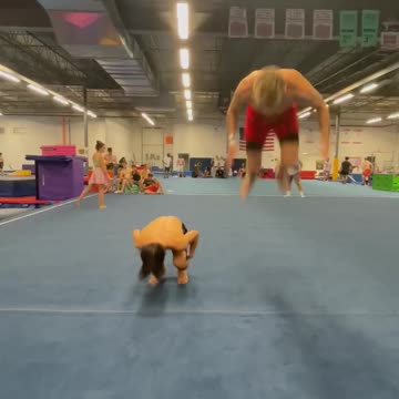 Crazy backflips