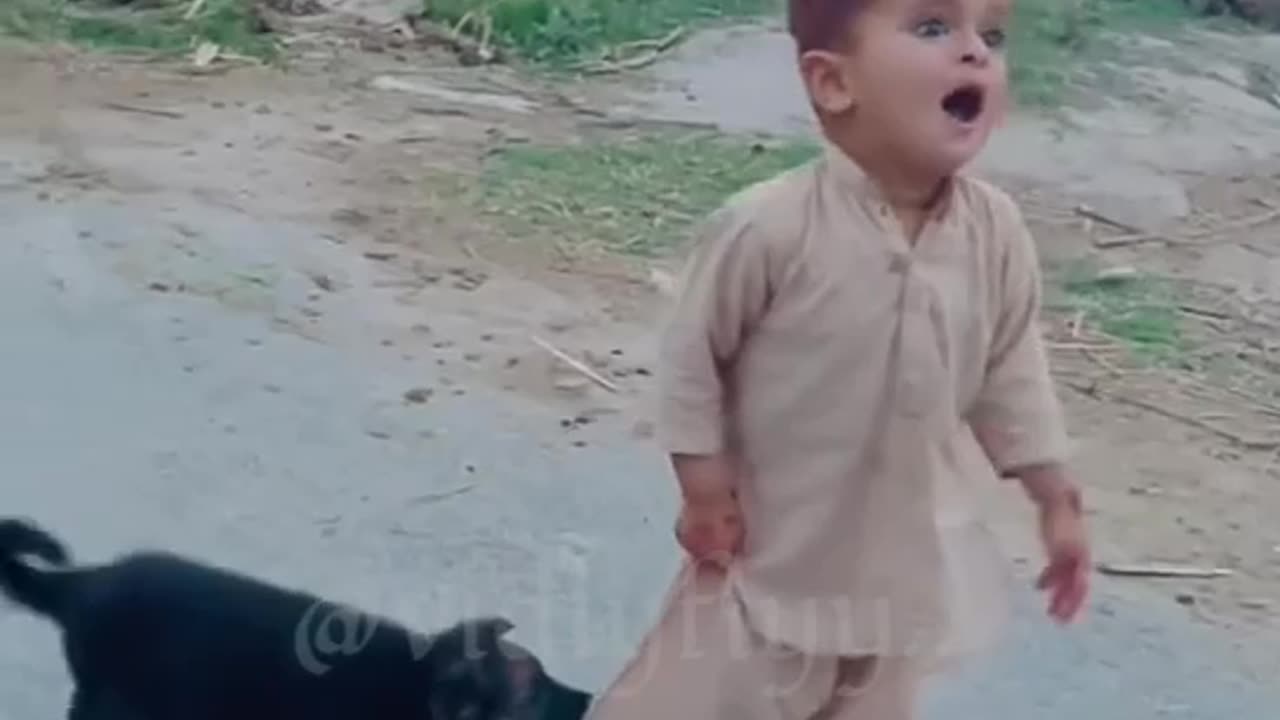 LOL | funny video 😂