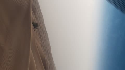 UAE desert safari