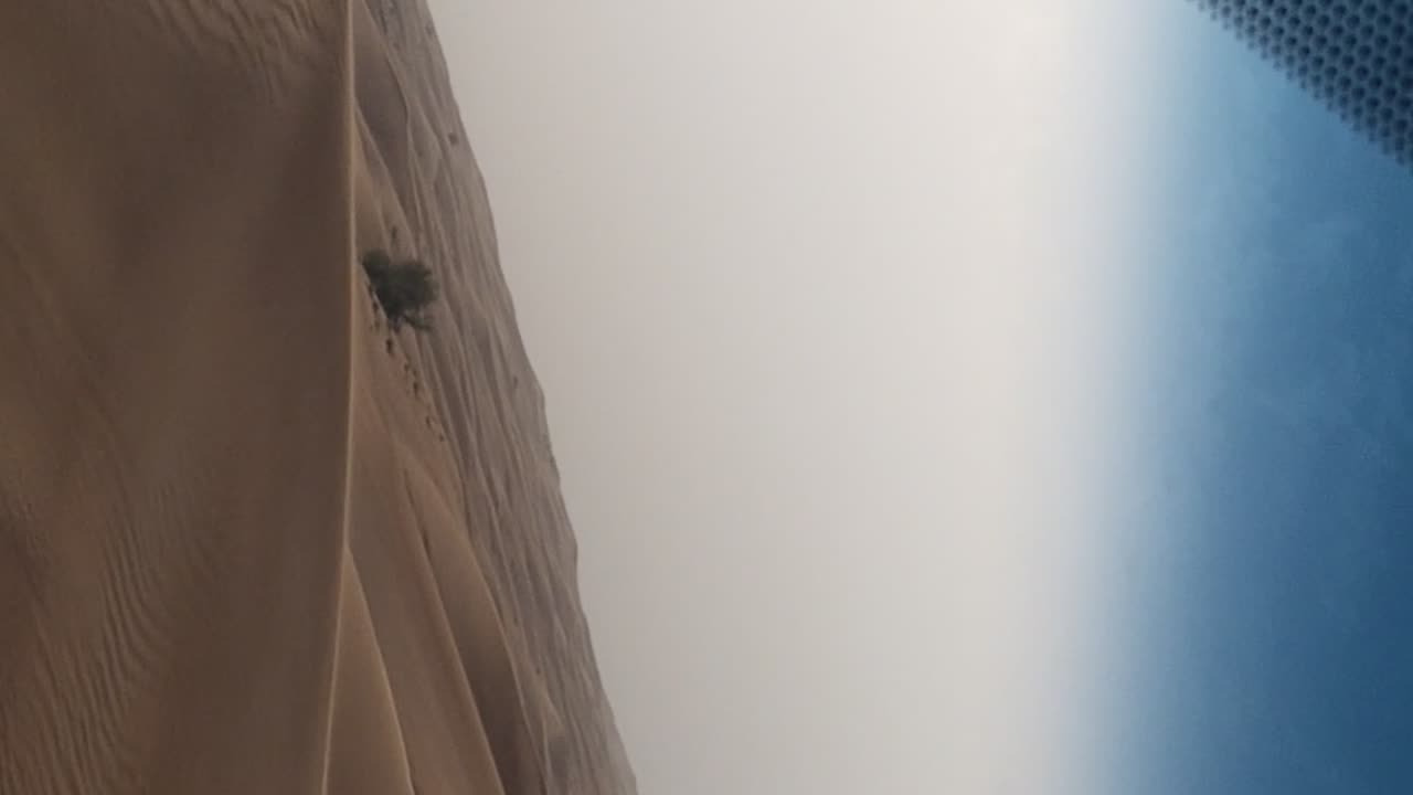 UAE desert safari