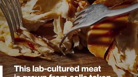 WEF Fake Food
