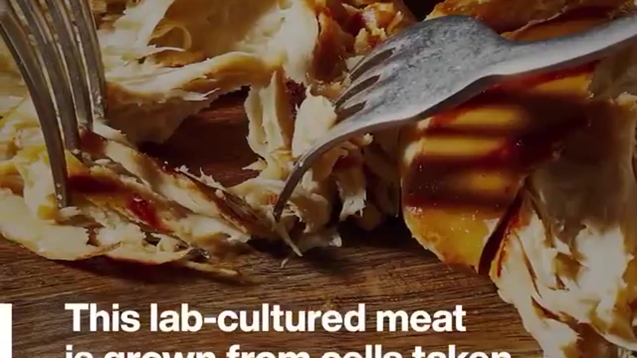 WEF Fake Food