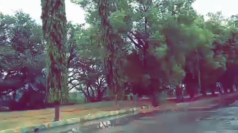 RAIN ENJOYMENT