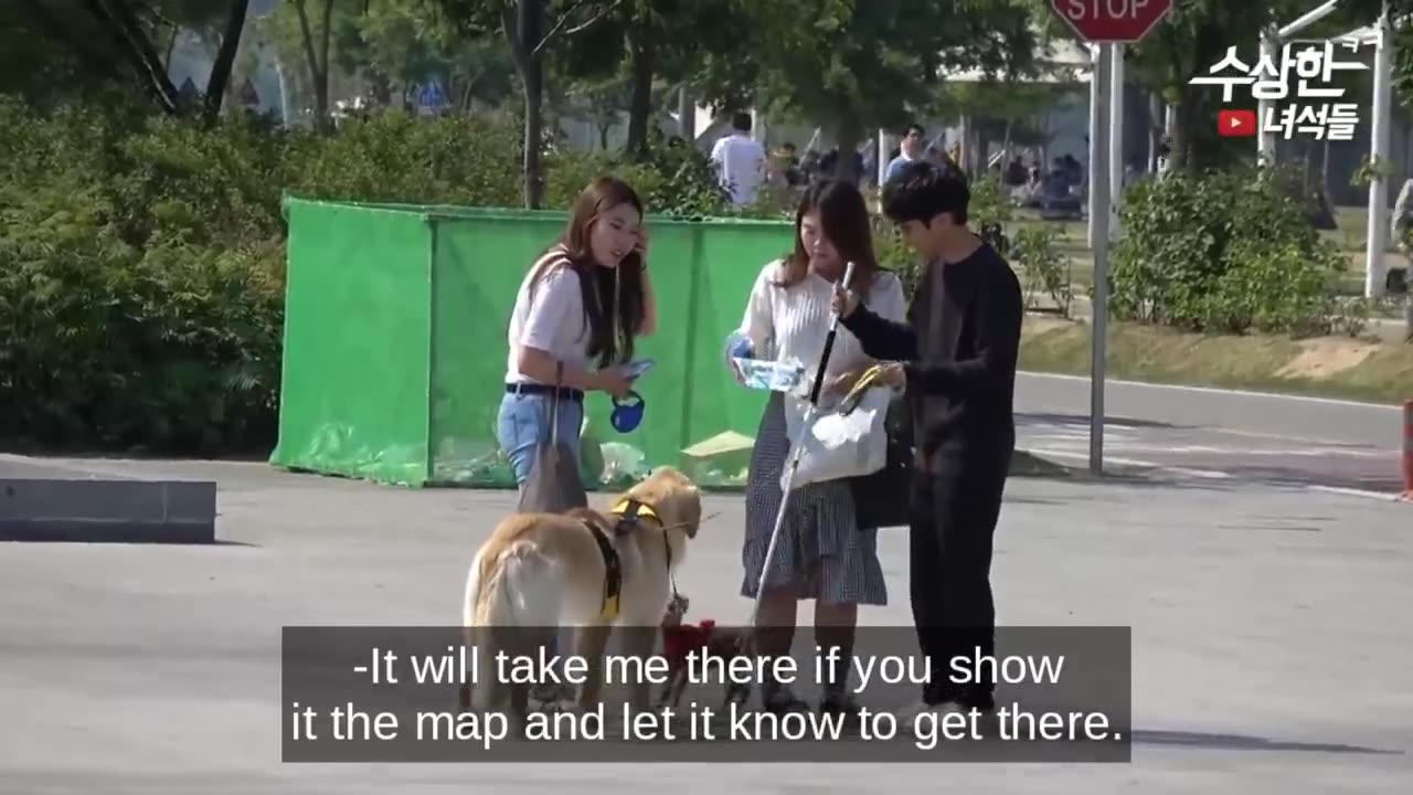 Best Korean Pranks That got me rolling😂