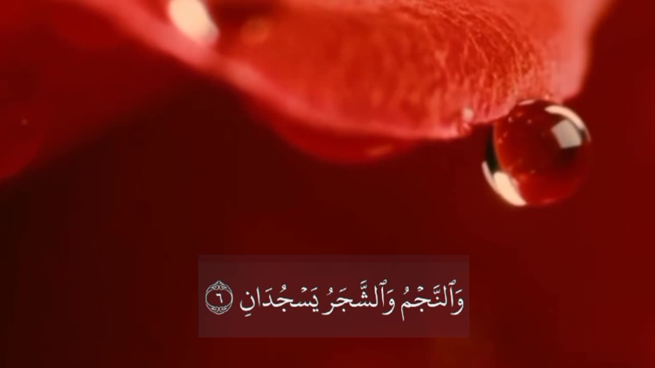 Surah e Rehman